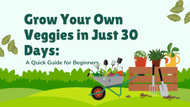 Grow Your Own Veggies in Just 30 Days: A Quick Guide for Beginners