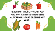 Herbs for the service of man and why Pairwise's new gene altered mustard green is not wise.