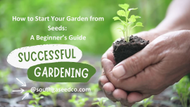 How to Start Your Garden from Seeds: A Beginner’s Guide