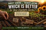 Direct Sowing vs. Transplanting: Which Is Better for Your Vegetable Garden?