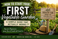 How to Start Your First Vegetable Garden: A Simple Guide That Actually Works : Part 1