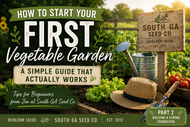 How to Start Your First Vegetable Garden: A Simple Guide That Actually Works : Part 2