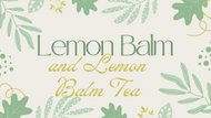 Lemon Balm and How to Make Lemon Balm Tea