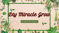 DIY Recipe for Organic Miracle Grow