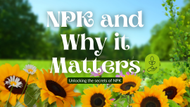 Unlocking the Secrets of NPK: How Balanced Nutrients Transform Your Garden