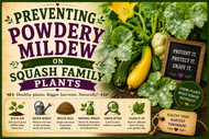 Preventing Powdery Mildew on Squash Family Plants