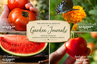 Why We Still Believe in Hand-Packed Seeds | South GA Seed Co.