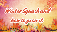 Winter Squash and how to grow it.