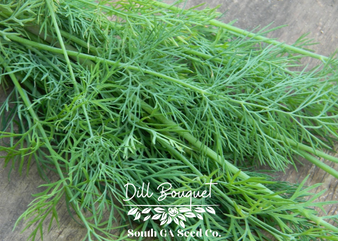 Bouquet Dill