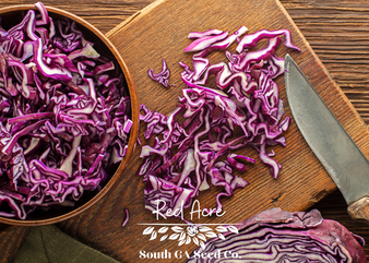 Red Acre Cabbage
