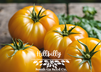 Hillbilly tomatoes