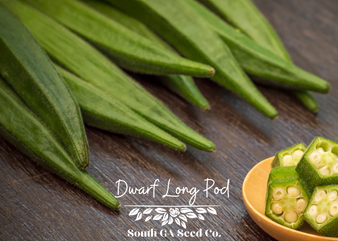 Dwarf Long Pod