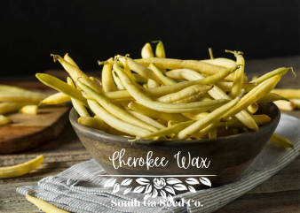 Cherokee Wax Beans