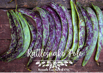 Rattlesnake Pole Bean