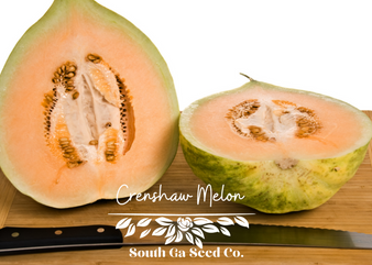 Crenshaw Melon
