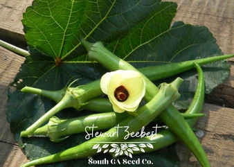 Stewart Zeebest Okra