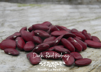 Dark Red Kidney Bean
