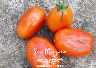 San Marzano Tomato