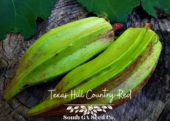 Texas Hill Country Red