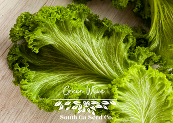 Green Wave Mustard