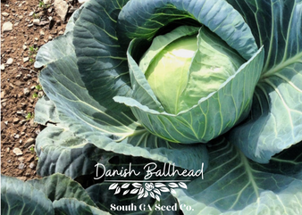 Danish Ballhead