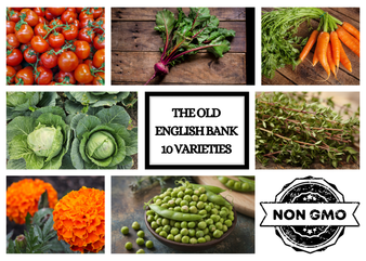 The Old English Bank