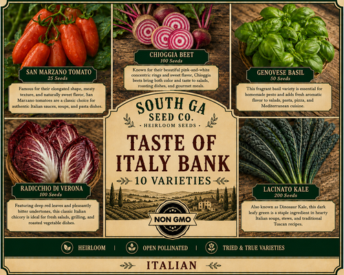 Taste of Italy Bank