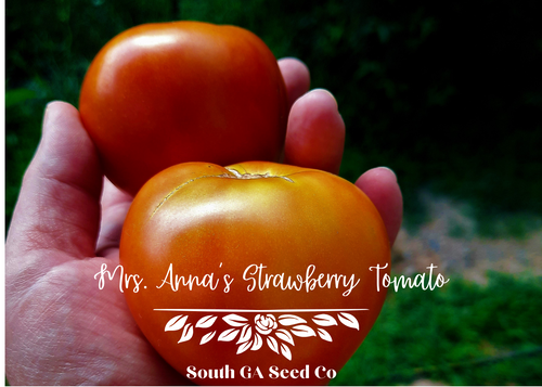 Mrs. Anna's Strawberry Tomato