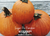 Sugar Pie Pumpkin