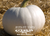 Amish Pie Squash