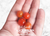 Red Currant Tomato Seeds