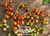 Red Currant Tomato Seeds