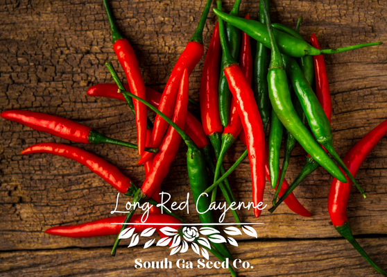 Long Red Cayenne Pepper
