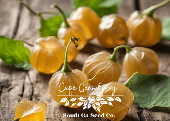 Cape Gooseberries