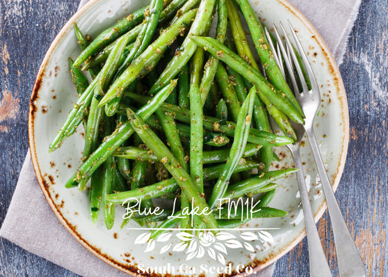 Blue Lake Pole Beans FM1K