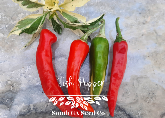 Fish Peppers