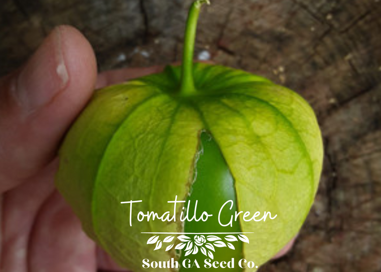 Tomatillo Green