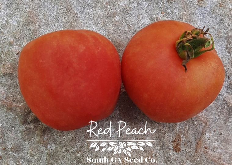 Red Peach Tomato