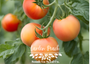 Garden Peach Tomatoes