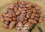 Rattlesnake Pole Bean