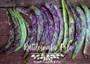 Rattlesnake Pole Bean
