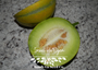 Israel Ha'Ogen Melon