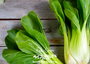 Pak Choi Cabbage