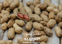 Virginia Jumbo Peanut