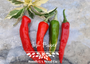 Fish Peppers