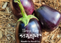 Ebony King Eggplant