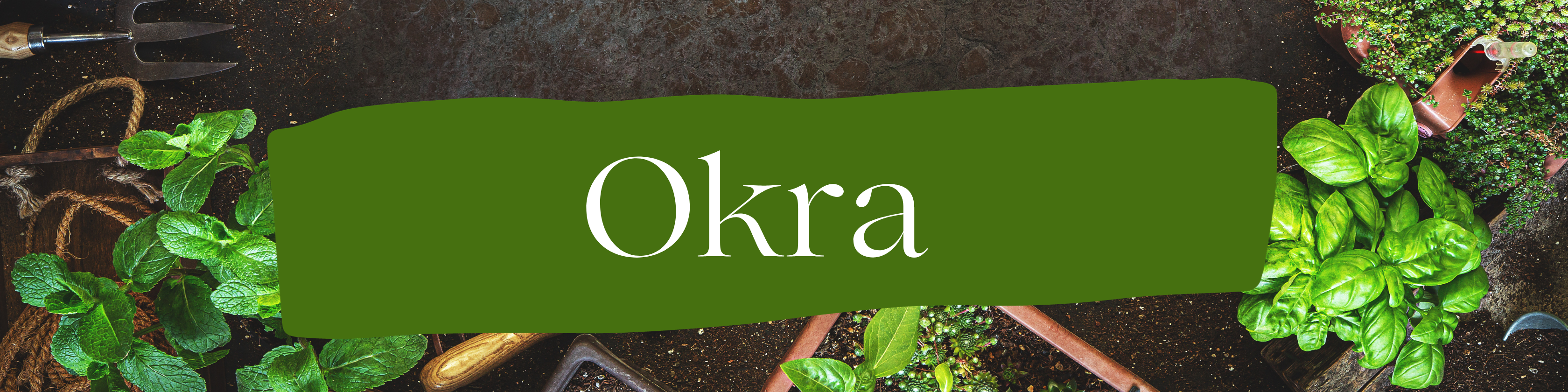 okra-cover.png