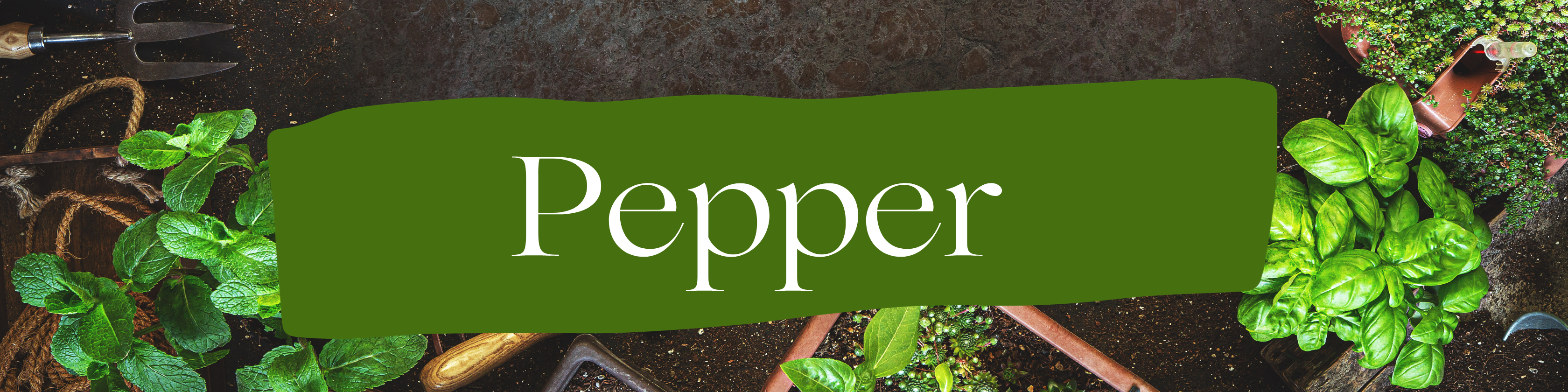 pepper-cover.png