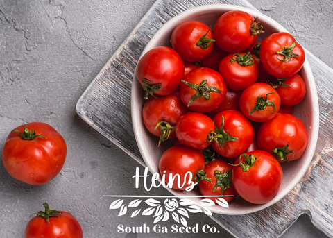 とまとページ Heinz_CC__54351.1721238816.480