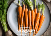 Tendersweet Carrots